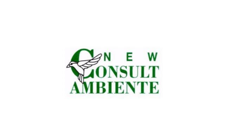 New Consult Ambiente